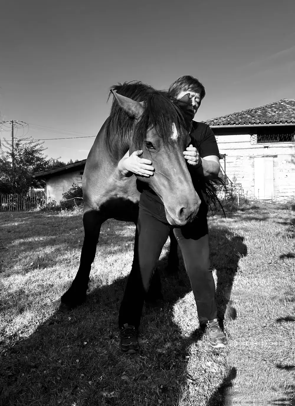 Anne Boutillon debout, les mains posées de chaque côté de la tête d'un cheval bai, en séance de shiatsu équin en extérieur