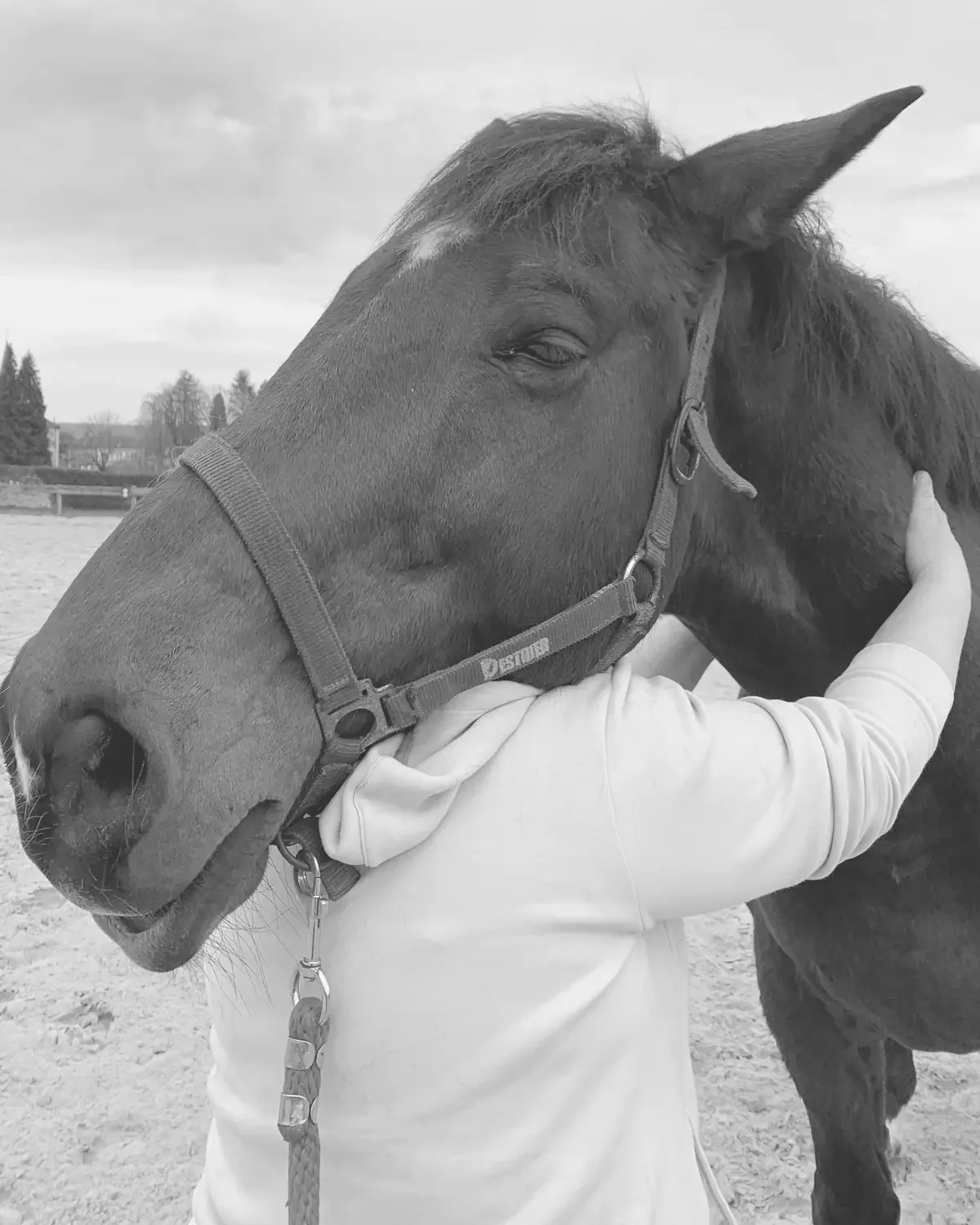 Anne Boutillon, les bras autour de l'encolure d'un cheval bai, pour travailler certains points, dans la carrière